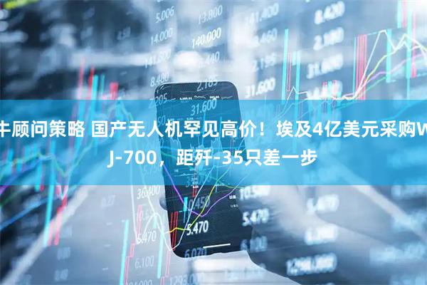 牛顾问策略 国产无人机罕见高价！埃及4亿美元采购WJ-700，距歼-35只差一步